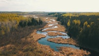 an aerial view of a river in a forest