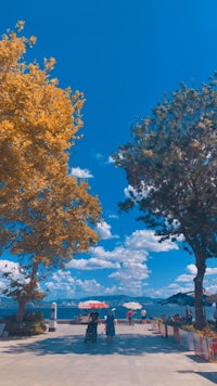 a group of people are sitting on a bench in front of a tree