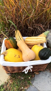 a wicker basket full of squash and gourds