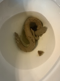 a toilet with a snake in it