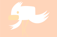 a white bird on a peach background