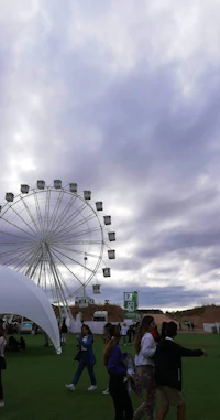 a ferris wheel in the middle of a grassy field