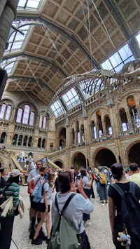 the natural history museum in london