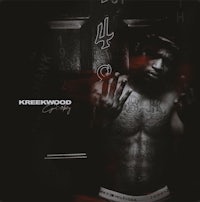 the cover of kreewood's new album