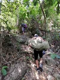 two people carrying backpacks up a trail in the jungle