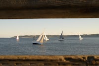 a group of sailboats in the water