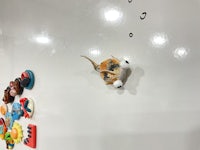 a white wall with a lot of small figurines on it