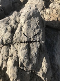 a rock with a face carved into it