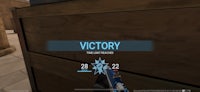a screenshot of a game with the word victory on it