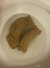 a toilet bowl with a piece of bread in it