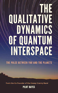 the cover of the qualitative dynamics of quantum interfaces