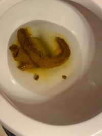 a toilet bowl with a fish in it