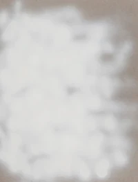 a white painting on a beige background