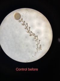 a picture of a microscope with a control before and after