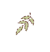 a leaf on a black background