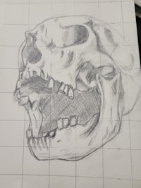 a drawing of a skull with its mouth open