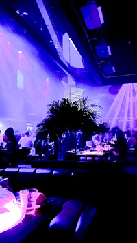 a nightclub with purple lights in the background