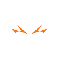 a pair of orange lightning bolts on a white background