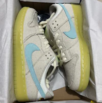 nike dunk low in white and blue box