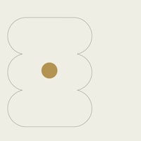a white flower with a gold dot in the middle