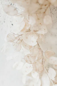 a hand holding a bouquet of dried grasses and roses