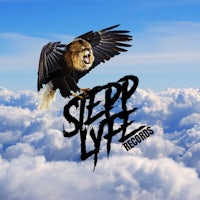 a eagle flying in the sky with the words step life records