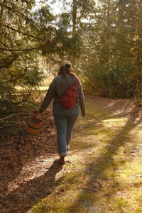 a person walking through the woods with a frisbee