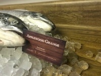 two fish sitting on ice next to a business card