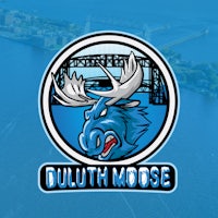 the logo for duluth moose