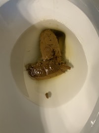 a toilet bowl with a piece of chocolate in it