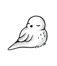 a white bird sitting on a black background