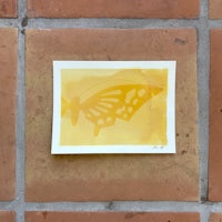 an image of a yellow butterfly on a brick wall