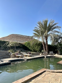 a pool with a palm tree in the background