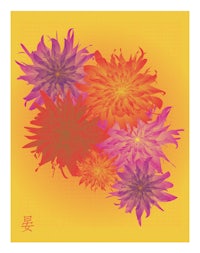 dahlias on a yellow background with chinese characters