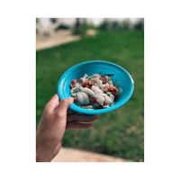 a person holding a blue plate with food in it