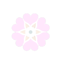 a pink flower on a black background