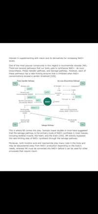 a diagram showing the structure of a business plan