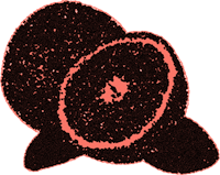 a slice of orange on a red background