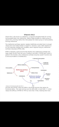 a diagram showing the structure of a business plan