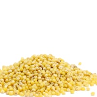 a pile of yellow corn on a white background