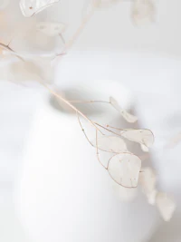 a white vase with dried leaves in it