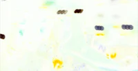 a white and yellow abstract painting on a white background