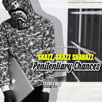 skaz shakz shakz permanent chances cover art