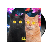 two black cats with yellow eyes in front of a colorful background