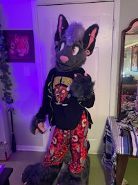a cat in pajamas is standing in front of a mirror