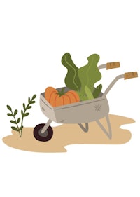 a wheelbarrow with vegetables in it