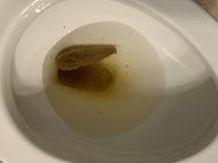a toilet bowl with a brown substance in it