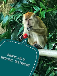a monkey sitting on a branch eating a red flower