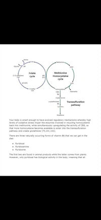 a diagram showing the different stages of a process