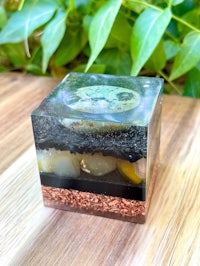 a small glass cube with a plant on it